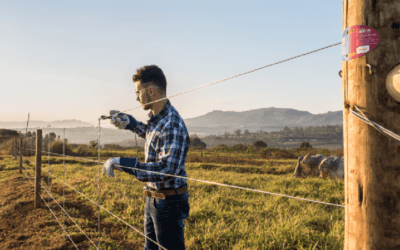 Arames em Barro Vermelho – AL