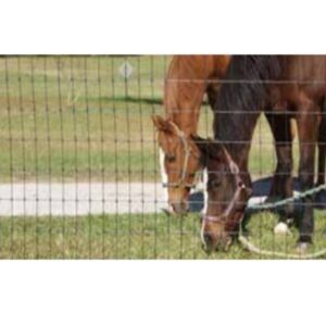 Gradis em Vila Santa Delfina - SP