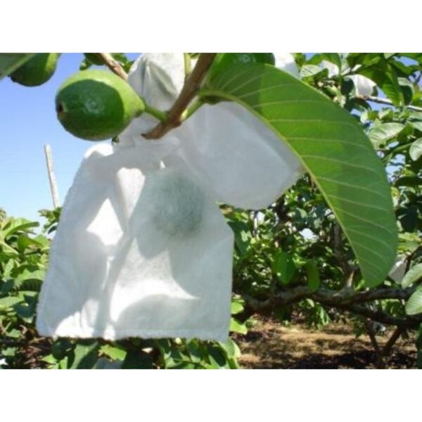 Saco para Proteção de Frutos DB Frutas 21x25cm 500 unidades