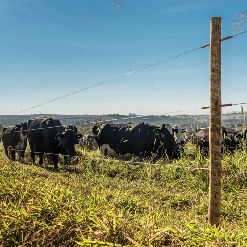ARAME PARA CERCA ELÉTRICA BELGO ELETRIX ® 500M