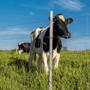 Kit Poste Para Cerca Rural Belgo Aço® Zincado 2,20 m (100 unidades)