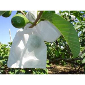 Saco para Proteção de Frutos DB Frutas 21x25cm 500 unidades